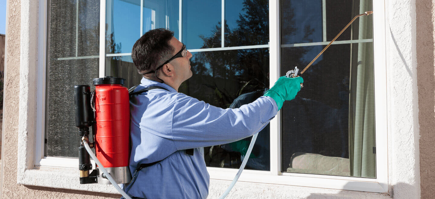 Ensuring Safety: Effective Pest Control Methods