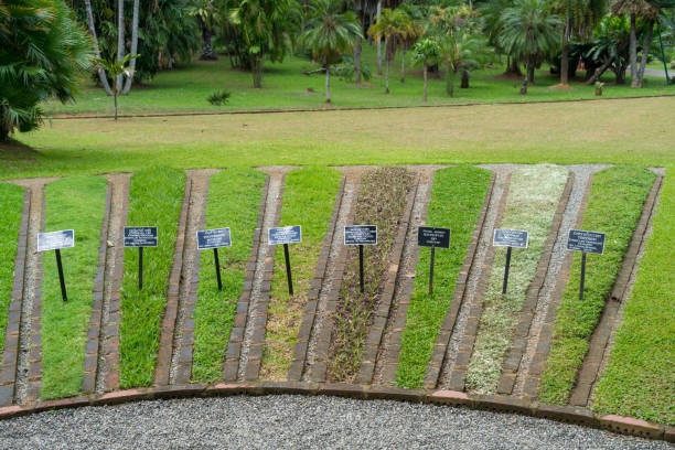 Transform Your Garden House with Inspiring Decor